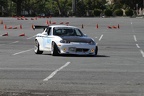 IMG 7084